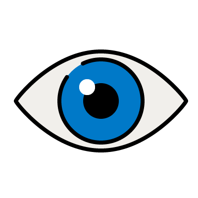 Icon of an eye