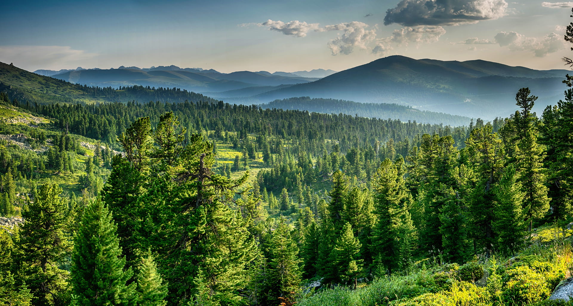 A landscape of forests and mountains
