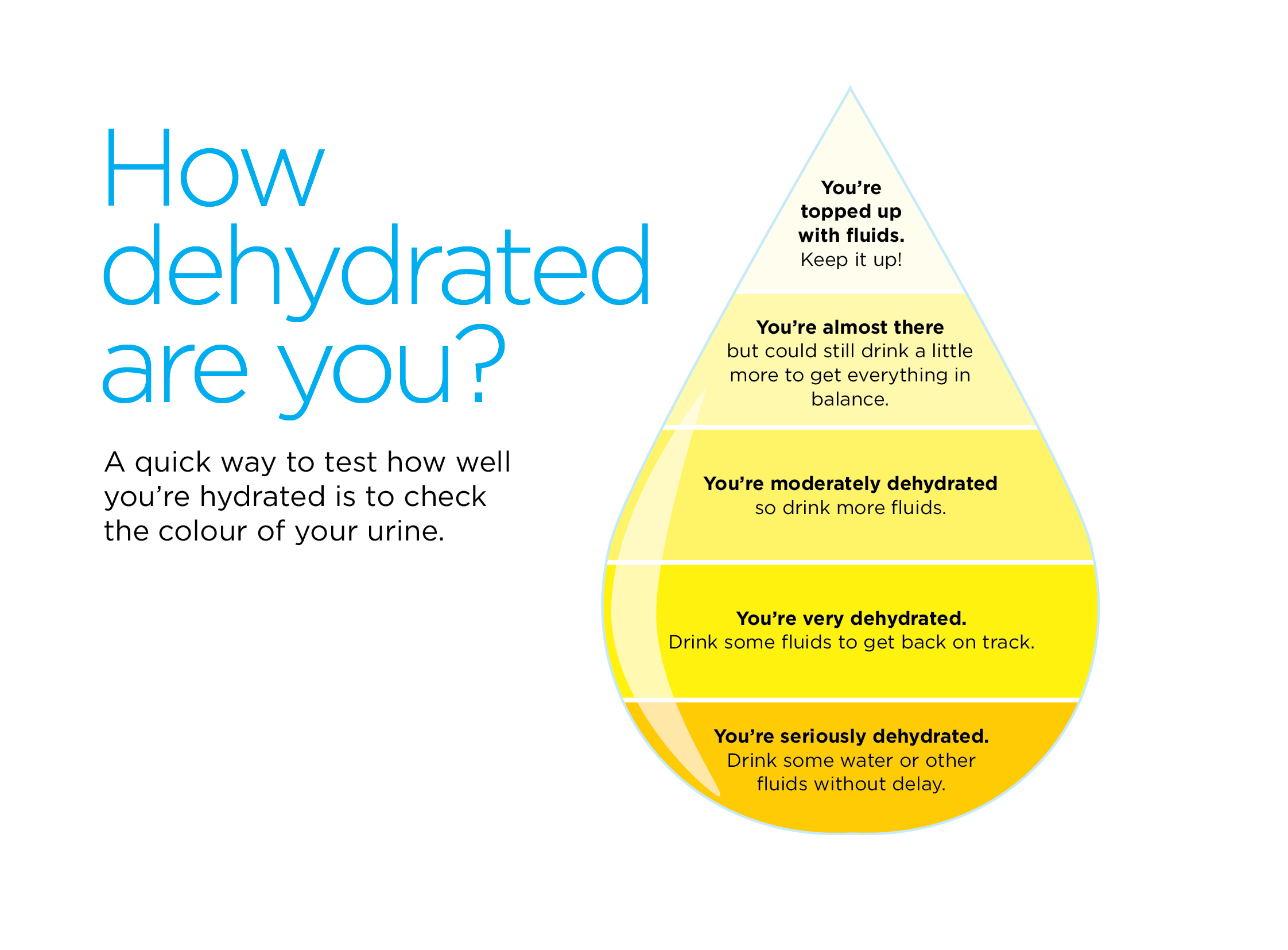 Infographic explaining how to measure your hydration level.