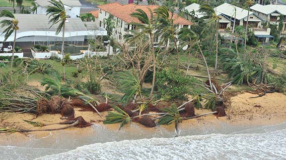 Beach aerial view