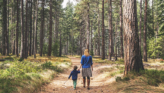 Woman and child walking in a forest